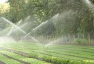 Wilkesdalelandscaping-water-management-and-drainage-17.jpg; ?>